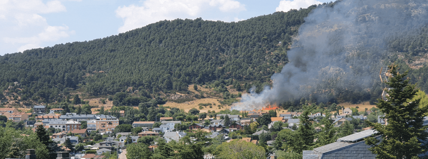 Después del fuego ¿qué?