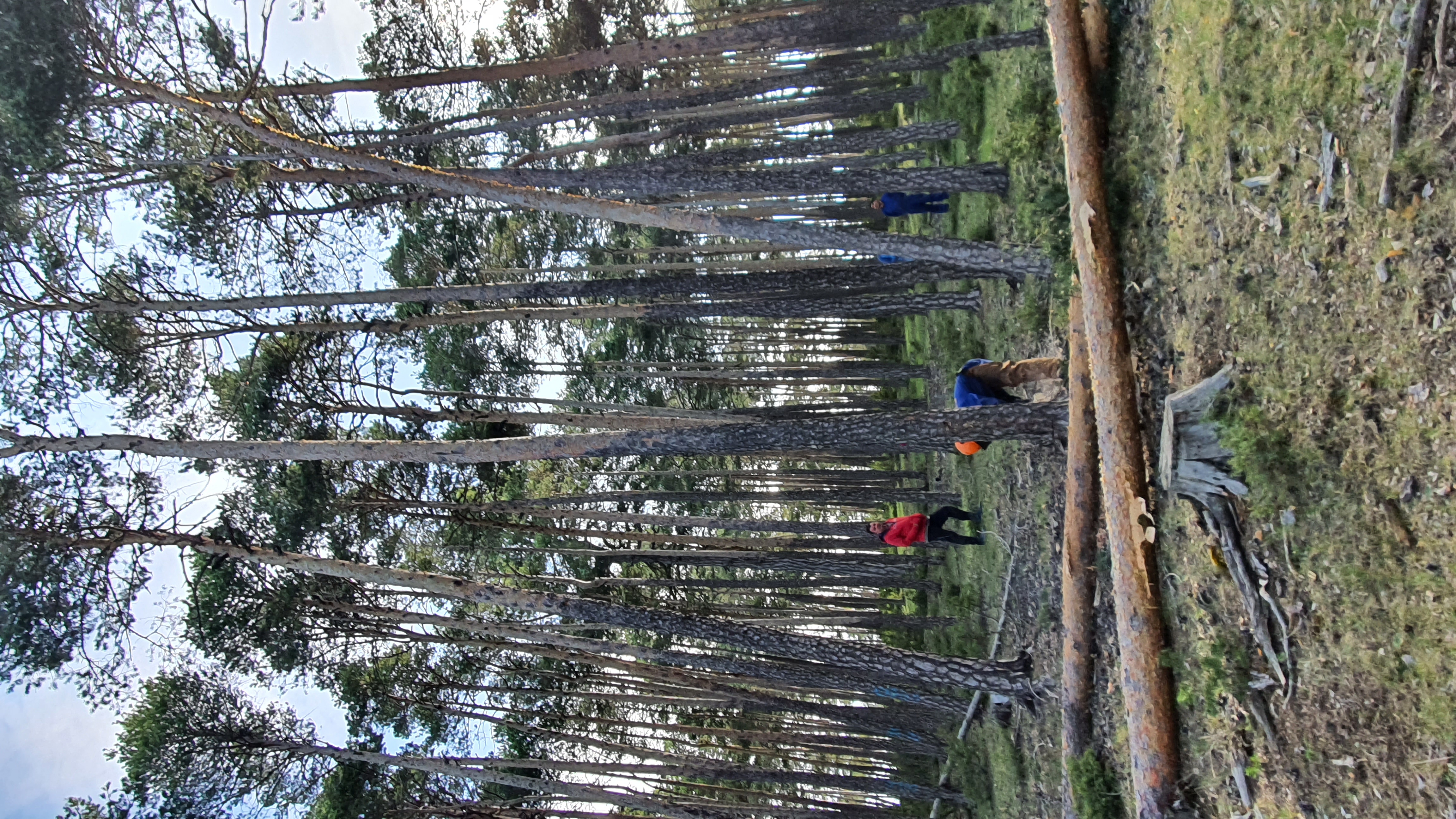 Montes Universales Proyecto GoProrural