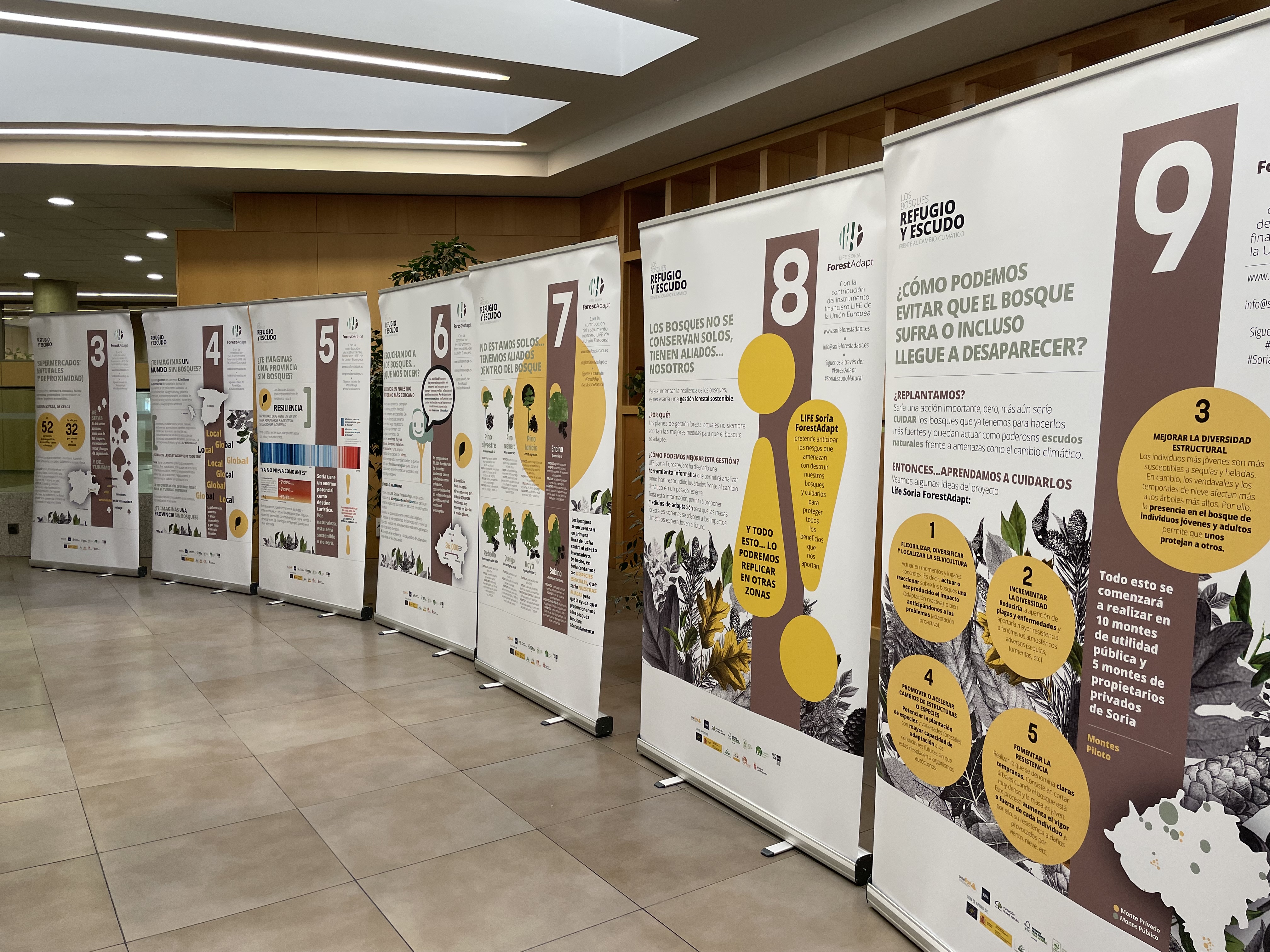EXpo Life Soria ForestAdapt