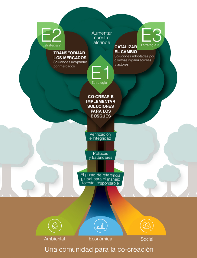 Estrategia Global FSC 21-26