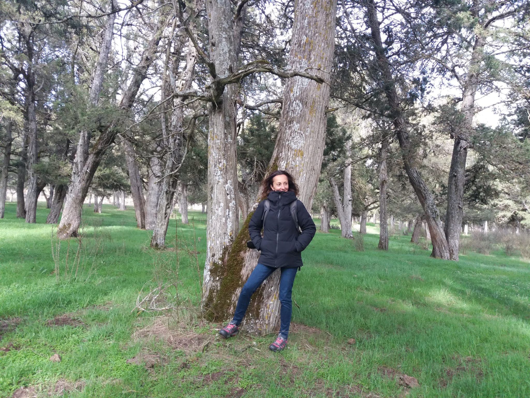 Silvia Martínez FSC España