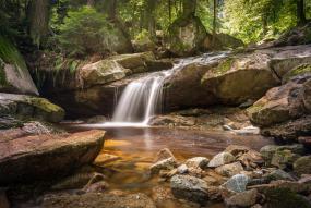 Rio dentro de un bosque