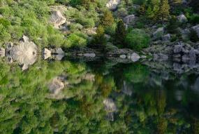 Bosque en Soria