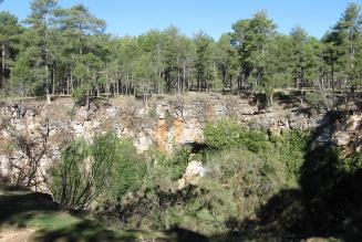 Palancares Cuenca