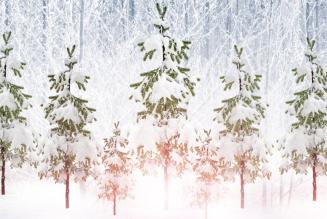 felicitación navideña 2025