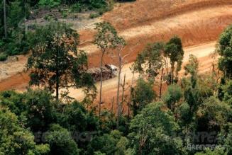 Zona deforestada en Indonesia por plantaciones de APP