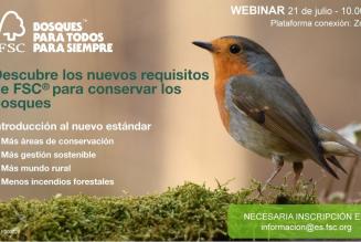 Webinar nuevo estándar