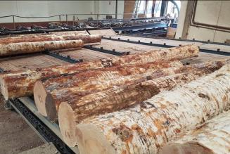 Madera gallega Madera gallega