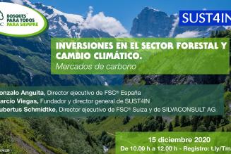 Webinar mercados carbono Webinar mercados carbono