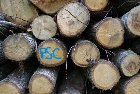Roble FSC Francia