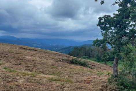 Monte de Laxoso