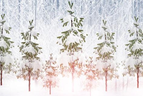 felicitación navideña 2025