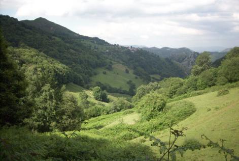 Monte certificado FSC Santo Adriano