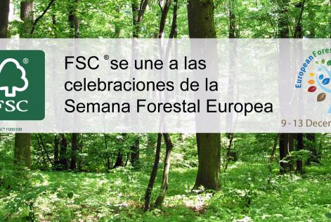 European Forest Week 2013