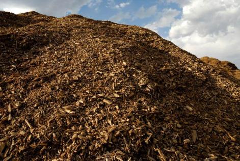 Pila de biomasa sin clasificar.