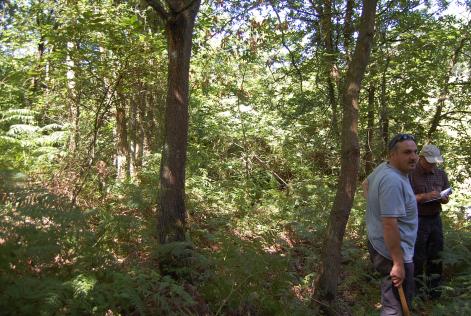 Ejemplo de auditoría de evaluación en Asturias