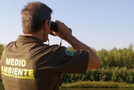 Agentes forestales