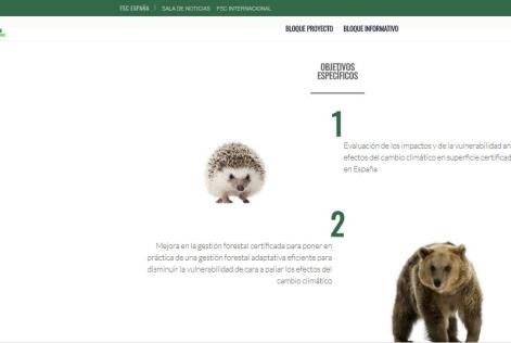 Nueva web