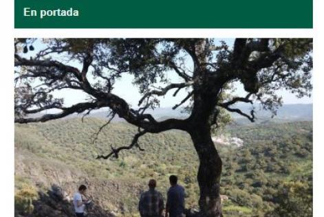 Boletín verano