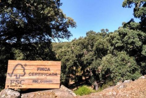 Bosque FSC
