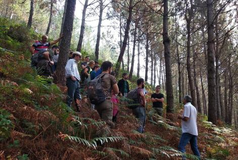 Curso Galicia