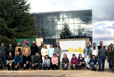 Equipo Cesefor
