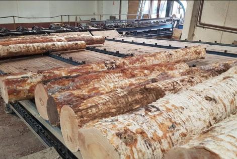 Madera gallega