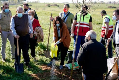 Plantación Getafe