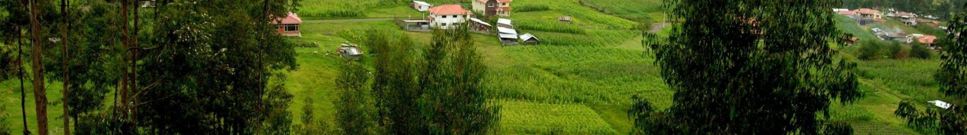 Palancares Cuenca