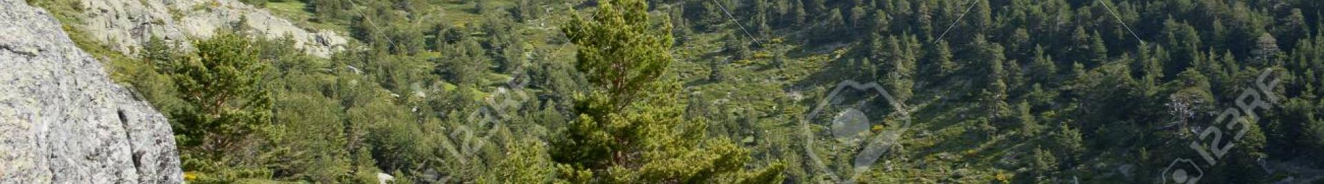 Sierra de Guadarrama