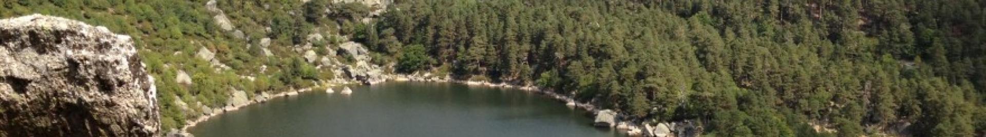 Bosques Soria